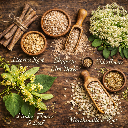 Herbal Coughing Aid Tea Blend | Eases Cough | Supports Respiratory System