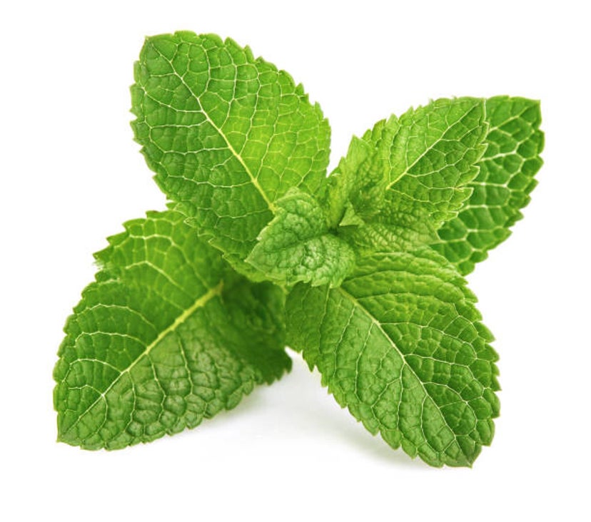 Mint Leaf (Dried) 4oz.
