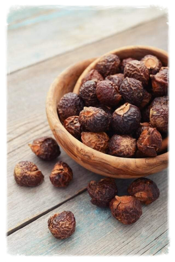 Soapberries (Sapindus Mukorossi)