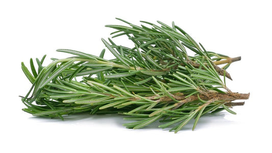Rosemary (Dried) Organic 4oz.