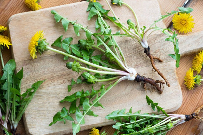 Dandelion Root (Dried)
