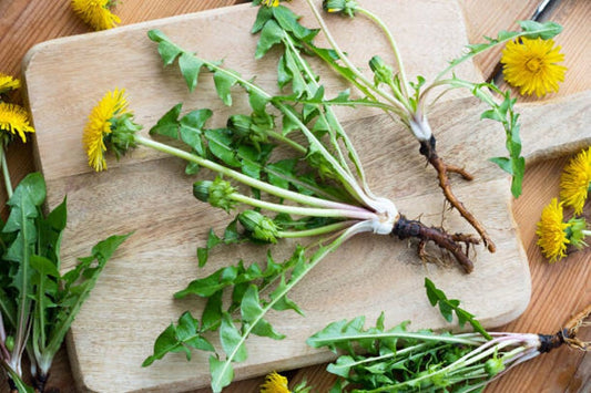 Dandelion Root (Dried)